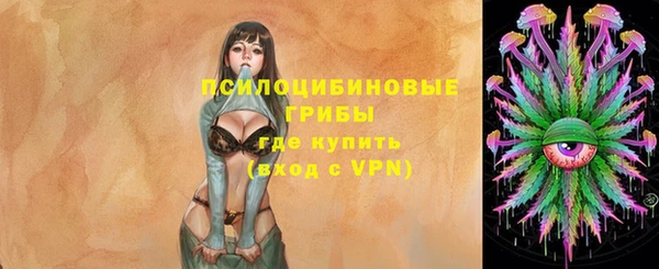 амф Арсеньев