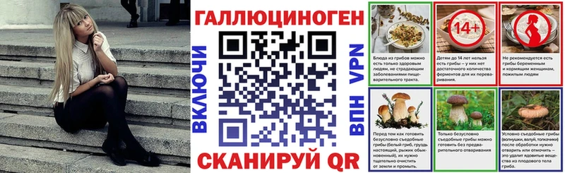 kraken вход  Чернушка  Галлюциногенные грибы Psilocybine cubensis  как найти закладки 